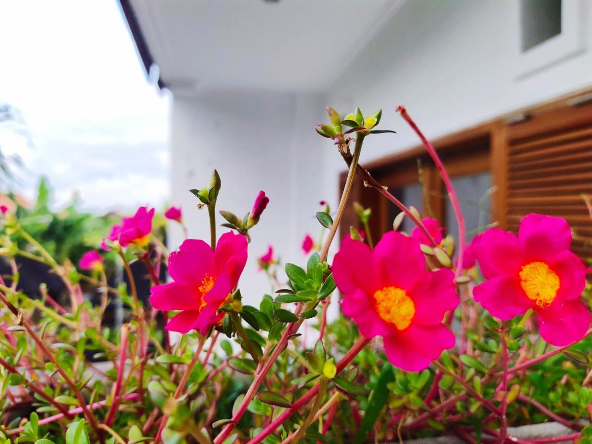 Batik Sekar Bali Guest House أوبود المظهر الخارجي الصورة